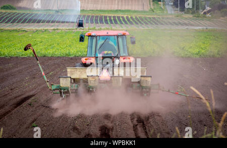 Victoria, Colombie-Britannique / Canada - 06/18/2019 : Les travailleurs de planter des rangées de cultures dans un champ les agriculteurs à l'utilisation d'un tracteur agricole . Banque D'Images