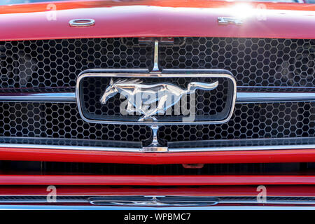 Cheval au galop d'un insigne sur le gril d'une Ford Mustang Banque D'Images