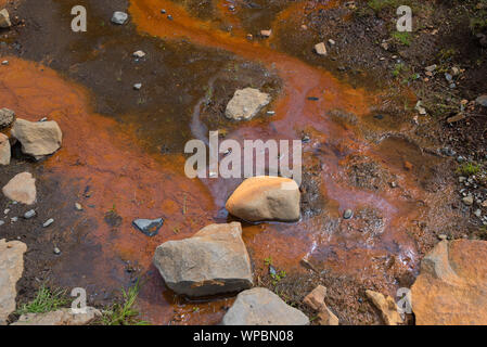 Points chauds et d'ébullition Sulphur Springs en Islande Banque D'Images