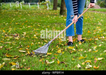 Le râtelage des feuilles tombées femme jardinier en arrière-cour. Femme debout avec rake. L'automne des travaux saisonniers dans le jardin. Banque D'Images