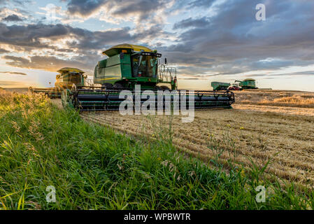 Swift Current, SK/Canada- Aug 25, 2019 : Sunburst sur les moissonneuses-batteuses et chariot de céréales au cours de la récolte en Saskatchewan Banque D'Images