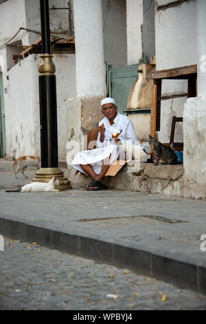 L'homme a pris sa retraite du Yémen alimente les alley cats dans Al Balad, le quartier historique de Jeddah, Arabie Saoudite Banque D'Images