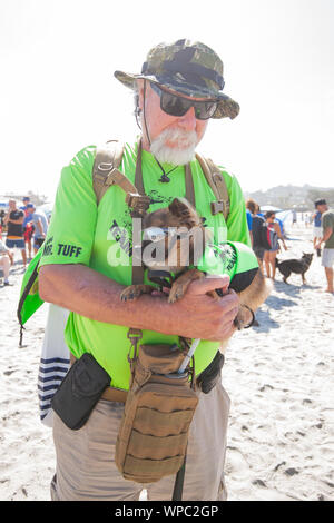 Del Mar, Californie, USA. Sep 8, 2019. Les chiens chez le surf surf surf chien Helen Woodward-A-Thon de l'Hôtel Del Mar Dog Beach le 8 septembre 2019. Crédit : Tony Forte/media/Alamy Punch Live News Banque D'Images