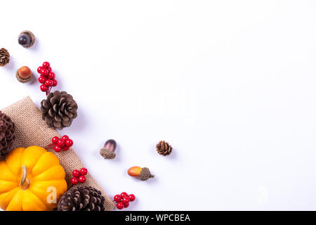 Vue de dessus de la citrouille et fruits rouges sur fond de papier blanc. Fête de l'automne ou concept. Banque D'Images