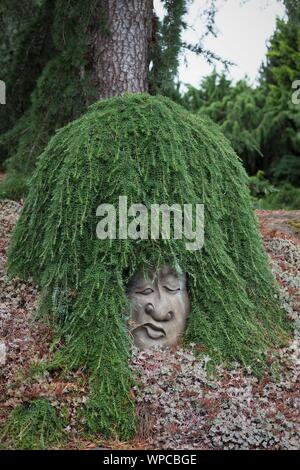 Tsuga heterophylla 'Thorsen's Weeping' cultivé pour ressembler à cheveux sur une tête de pierre sculptée, à l'Oregon Garden à Silverton, ou, aux États-Unis. Banque D'Images