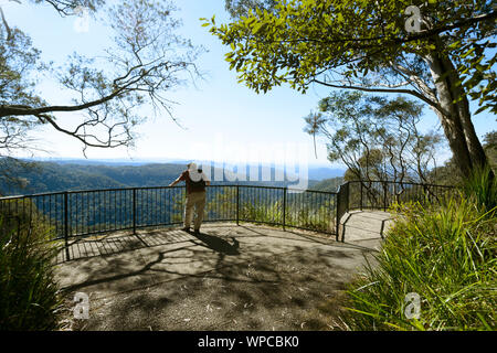 Syndicat jouissant de la vue panoramique sur Parc National de Springbrook au Canyon Lookout, l'arrière-pays de la Gold Coast, Queensland, Queensland, Australie Banque D'Images