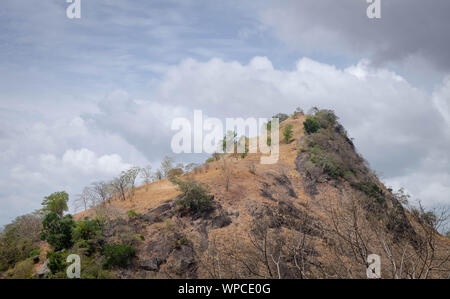 Vue depuis le Pidurangala Roc, la meilleure vue sur le rocher du Lion de Sigiriya au Sri Lanka. Banque D'Images