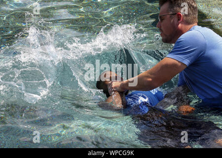 Columbus, Ohio, USA. Sep 8, 2019. Aujourd'hui était de service à propos de racines à Cascade Hills Église aujourd'hui 08 septembre, 2019 à Columbus, Ga.après, il y avait 7 du baptême à la piscine en plein air. Crédit : Michael Lopez/ZUMA/Alamy Fil Live News Banque D'Images