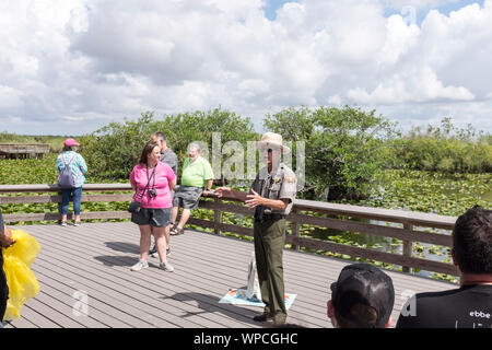 Un gardien de parc donnant une visite guidée le long de l'anhinga Trail dans le parc national des Everglades en Floride, USA Banque D'Images