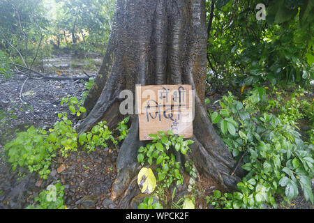 Mumbai, Maharashtra. Sep 8, 2019. 08 Sept 2019 - Mumbai - INDE.Malgré une lourde averse de pluie les résidents de Mumbai sortir pour protester contre la destruction de la forêt Aarey à Mumbai ainsi que la forêt amazonienne au Brésil.Le Gouvernement a proposé de réduire les 2700 arbres pour faire place à l'abri de voiture de métro dans la zone forestière de Mumbai Aarey.Les habitants de ce terme comme une tentative d'accaparement des terres et une destruction planifiée de la forêt Aarey qui abrite 9 léopards et vie sauvage & 500 000 arbres. Credit : Subhash Sharma/ZUMA/Alamy Fil Live News Banque D'Images