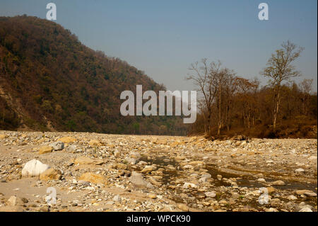 Lit pierreux de la rivière. Ladhya Cette rivière a été rendu célèbre par Jim Corbett dans son livre Maneaters de Kumaon, Uttarakhand, Inde Banque D'Images