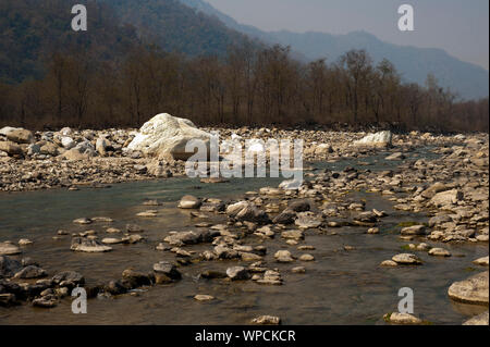 Lit pierreux de la rivière. Ladhya Cette rivière a été rendu célèbre par Jim Corbett dans son livre Maneaters de Kumaon, Uttarakhand, Inde Banque D'Images