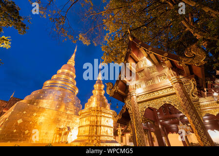 La pagode d'or en bleu ciel de nuit. Temple Phra Singh. Chiang Mai, Thaïlande. Banque D'Images