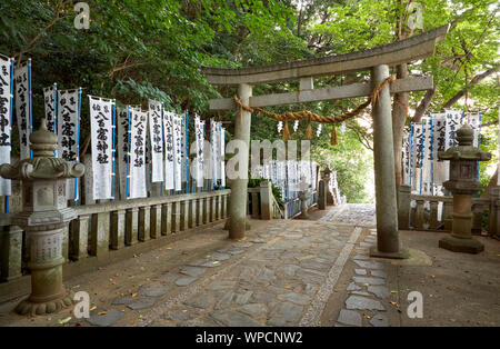 GAMAGORI, JAPON - 18 octobre 2007 : Moyen d'Yaotomi culte sur l'île de prendre en Gamagori, Japon Banque D'Images