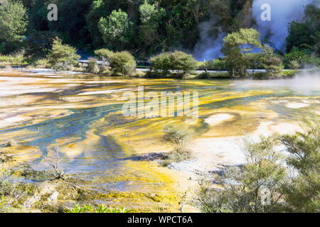 L'activité géothermique de la Vallée volcanique de Waimangu dans la région de Rotorua, Nouvelle-Zélande. Banque D'Images