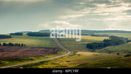 Paysage avec le coucher du soleil dans les champs agricoles et forestières avec la steppe route asphaltée sinueuse à l'horizon à Khakassia, Sibérie, Russie. Banque D'Images