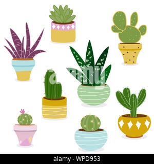 Ensemble de cactus et plantes succulentes poussant en pots. Plantes domestiques, cactus et plantes succulentes en pots. Plantes d'intérieur en pots de fleurs. Banque D'Images