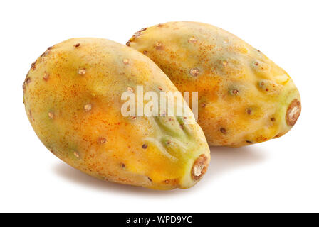 Le figuier de barbarie rouge chemin fruit isolated on white Banque D'Images