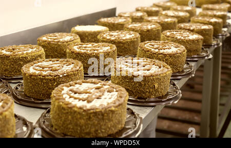 Faire des gâteaux délicieux biscuit chocolat avec le lait condensé et les pruneaux de l'industrie de la confiserie. Faire des desserts et sucreries, torte Banque D'Images