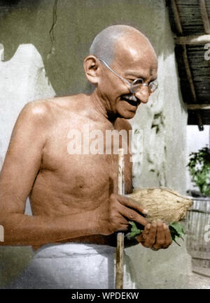 Mahatma Gandhi avec noix de coco, le Satyagraha Ashram, Wardha, Maharashtra, Inde, Asie, janvier 1942 Banque D'Images