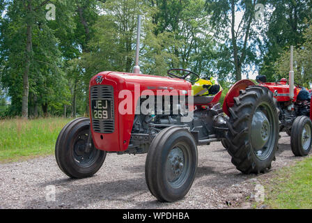 Immaculée 1958 Gris Rouge Modèle de tracteur Massey Ferguson 35 Île de Bute Ecosse Royaume-Uni passagers avant gauche côté afficher les anciens glea Banque D'Images