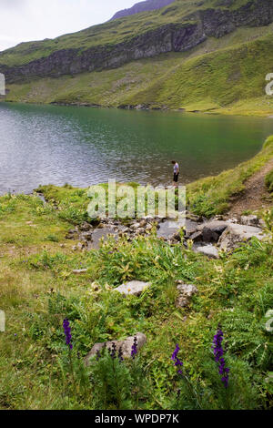 Randonneur sur les rives du Bachsee, Oberland Bernois, Suisse : fleurs sauvages alpines au premier plan. Parution du modèle Banque D'Images