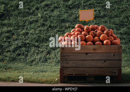 Marché citrouilles avec un tas de courges dans une caisse en bois. Petite citrouille de couleur orange pour la vente. Produits de saison Banque D'Images