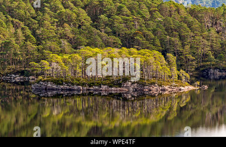 LOCH MAREE WESTER ROSS HIGHLANDS EN ÉCOSSE UNE ÎLE REFLÉTÉE DANS LE MIROIR D'EAU CALME À LA FIN DE L'ÉTÉ Banque D'Images