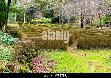 Labyrinthe dans un jardin à Ponta Delgada, Açores Banque D'Images