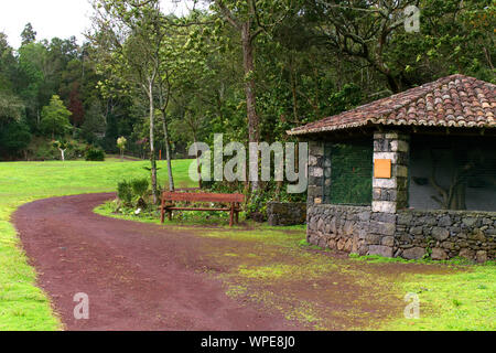 Route de terre dans un parc à Ponta Delgada, Açores Banque D'Images