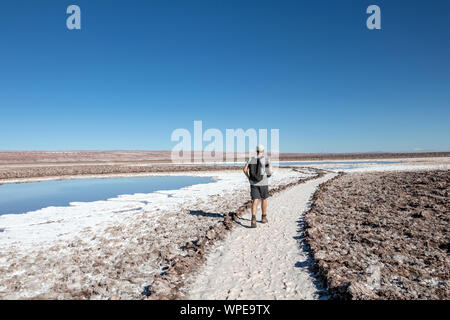 Jeune homme randonnée sur la piste à lagunas Escondidas (trésors cachés) d'Baltinache l'un des lieux secrets du désert d'Atacama, Chili, Amérique du Sud Banque D'Images