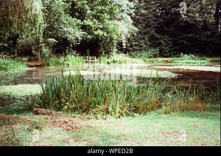 L'enflure Hill Pond, quatre points, Hampshire, Angleterre, Royaume-Uni. Banque D'Images