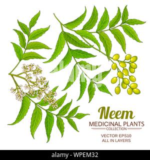 Vector set neem sur fond blanc Illustration de Vecteur