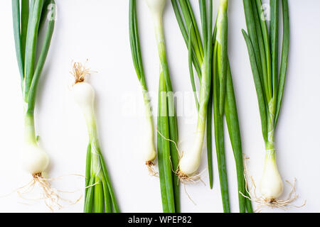 Mise en page créative avec ciboulette vert frais isolé sur fond blanc Banque D'Images