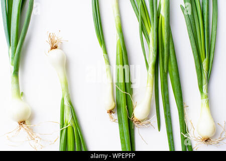 Mise en page créative avec ciboulette vert frais isolé sur fond blanc Banque D'Images