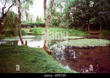 L'enflure Hill Pond, quatre points, Hampshire, Angleterre, Royaume-Uni. Banque D'Images