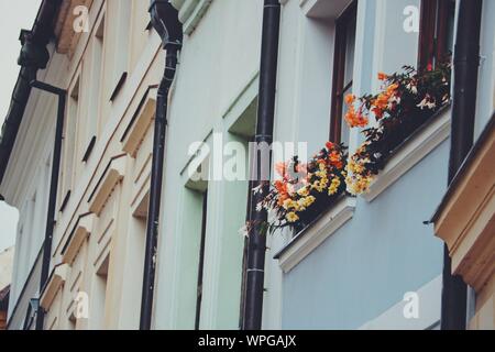 Hradec Kralove, République Tchèque, Europe. Le 7 septembre 2019. Visiter la Région de Pardubice en République tchèque. ©Natasha Camilleri Banque D'Images