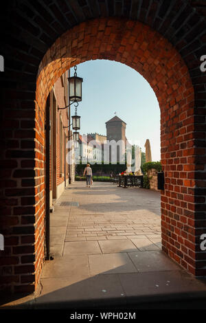 Matin d'été au Château Royal de Wawel à Cracovie, Pologne. Banque D'Images