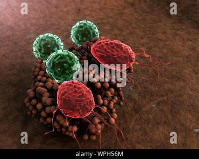 Virus et macrophages, les lymphocytes T attaquent colonie de champignons, les lymphocytes et les phagocytes colonie attaque de champignons, les droits de l'attaque du système immunitaire le champignon Banque D'Images