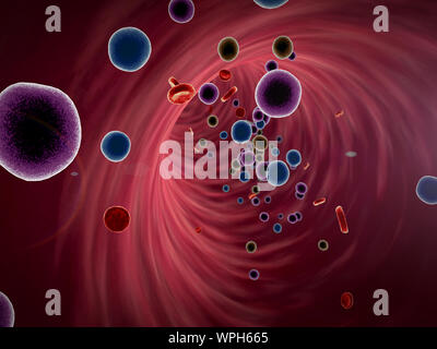 Virus dans le sang, à l'intérieur du vaisseau sanguin, de haute qualité de rendu 3D de cellules du sang, les virus dans le corps humain Banque D'Images