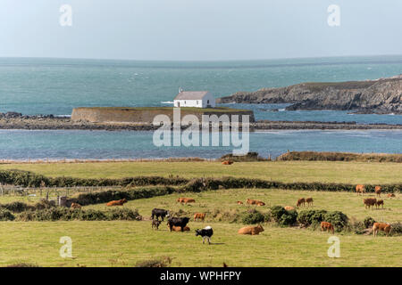 L'église Saint Cwyfan Llangwyfan à connue comme l'Église dans la mer en raison de l'être coupé de la terre ferme à marée haute, Anglesey, au nord du Pays de Galles, Royaume-Uni Banque D'Images