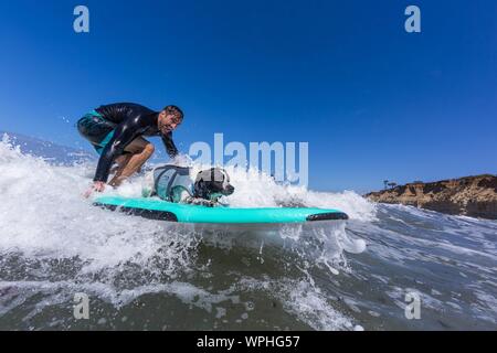 Delmar, CA, USA. Sep 9, 2019. Tout le monde a un bon moment, lorsque les chiens aller à la plage dans Delmar.Le Chien de Surf Surf-A-Thon fundraiser à Del Mar Helen Woodward Animal Center permet de recueillir des fonds pour l'orphelin animaux domestiques.Le Chien de Surf Surf-A-Thon a lieu chaque mois de septembre, à Del MarÃs Dog Beach, situé dans le comté de San Diego, en Californie. Vu ici : Crédit : Noé Daren Fentiman/ZUMA/Alamy Fil Live News Banque D'Images