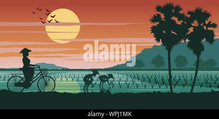 Vietnamese woman ride location pass champ de riz alors que les gens la plantation l'heure du coucher de soleil,vector illustration Illustration de Vecteur