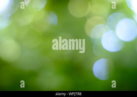 Glitter circle a fait l'arrière-plan. Couleurs vert sont de beaux bokeh. Sentiment de flou surréaliste moelleux. Banque D'Images