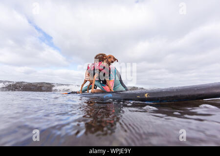 Delmar, CA, USA. Sep 9, 2019. Tout le monde a un bon moment, lorsque les chiens aller à la plage dans Delmar.Le Chien de Surf Surf-A-Thon fundraiser à Del Mar Helen Woodward Animal Center permet de recueillir des fonds pour l'orphelin animaux domestiques.Le Chien de Surf Surf-A-Thon a lieu chaque mois de septembre, à Del MarÃs Dog Beach, situé dans le comté de San Diego, en Californie. Vu ici : Rusty Crédit : Daren Fentiman/ZUMA/Alamy Fil Live News Banque D'Images