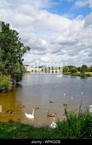 La Tamise et la rivière avec le pont de Chertsey dans l'arrière-plan sous le soleil d'été,Surrey England UK Banque D'Images