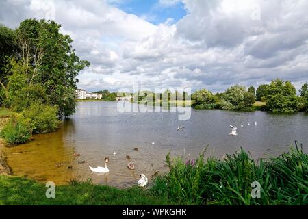 La Tamise et la rivière avec le pont de Chertsey dans l'arrière-plan sous le soleil d'été,Surrey England UK Banque D'Images