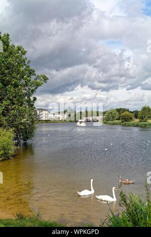 La Tamise et la rivière avec le pont de Chertsey dans l'arrière-plan sous le soleil d'été,Surrey England UK Banque D'Images