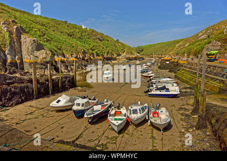 Porthclais port près de la ville de St David's, Pembrokeshire, Pays de Galles, Royaume-Uni. Banque D'Images