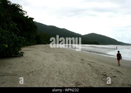 Plage de mangrove à Bloomfield Track dans le Nord du Queensland, la forêt tropicale de Daintree, Cape Tribulation, Australie Banque D'Images